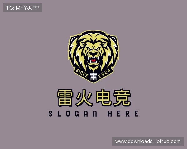 认识雷火电竞团队